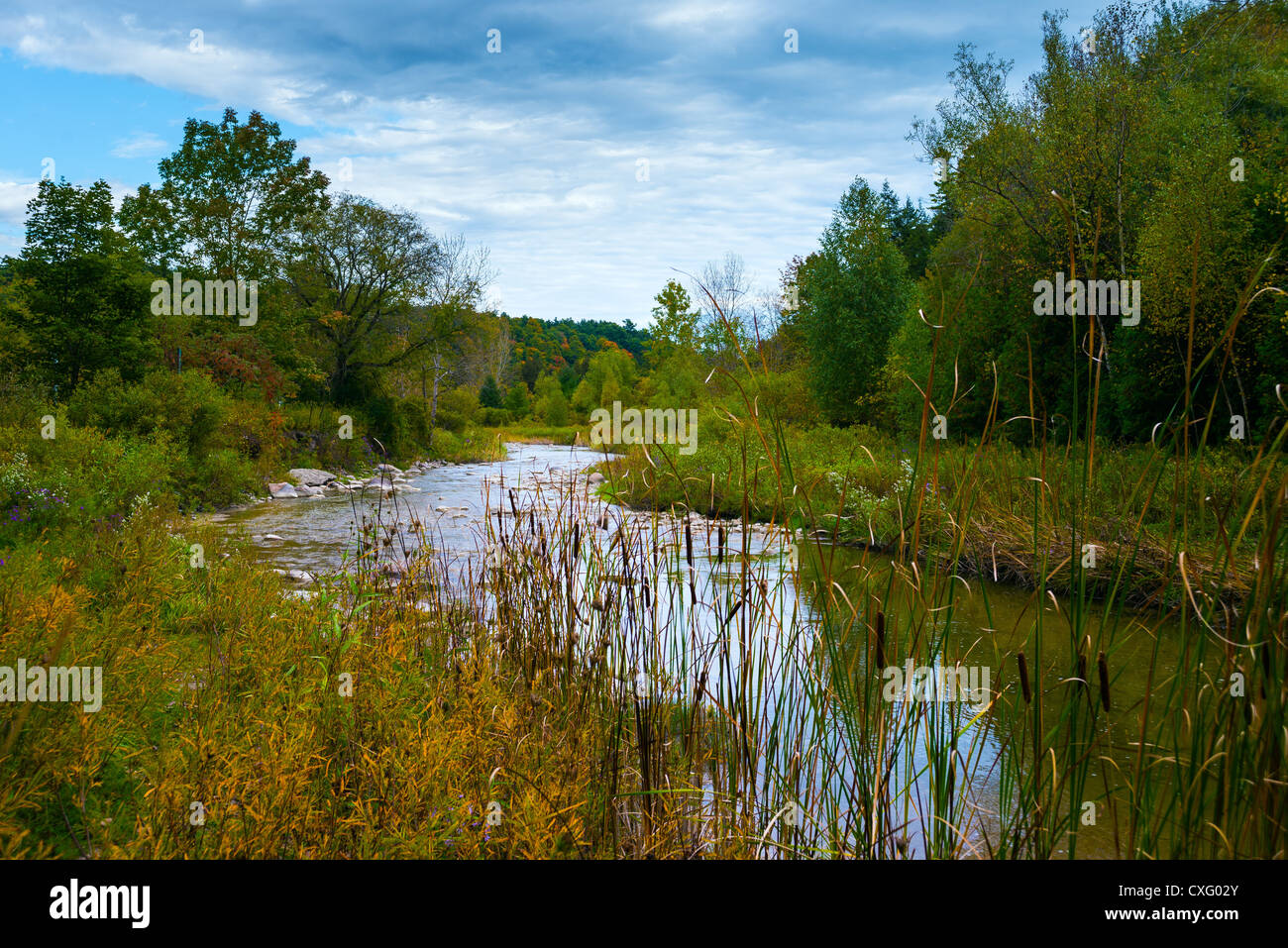 This is a landscape image taken in the fall. Stock Photo