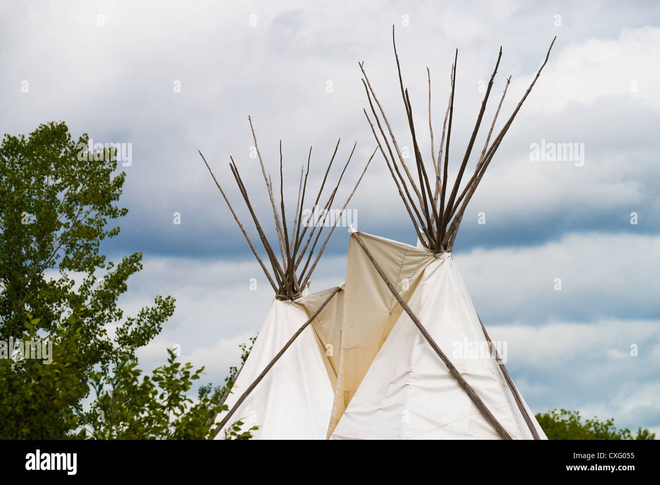 Tepees at the Toronto Zoo Stock Photo Alamy