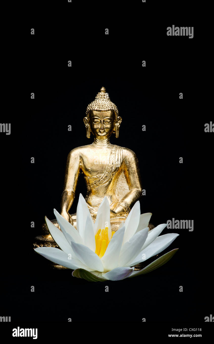 Golden Buddha statue and water lily flower on Black background Stock Photo