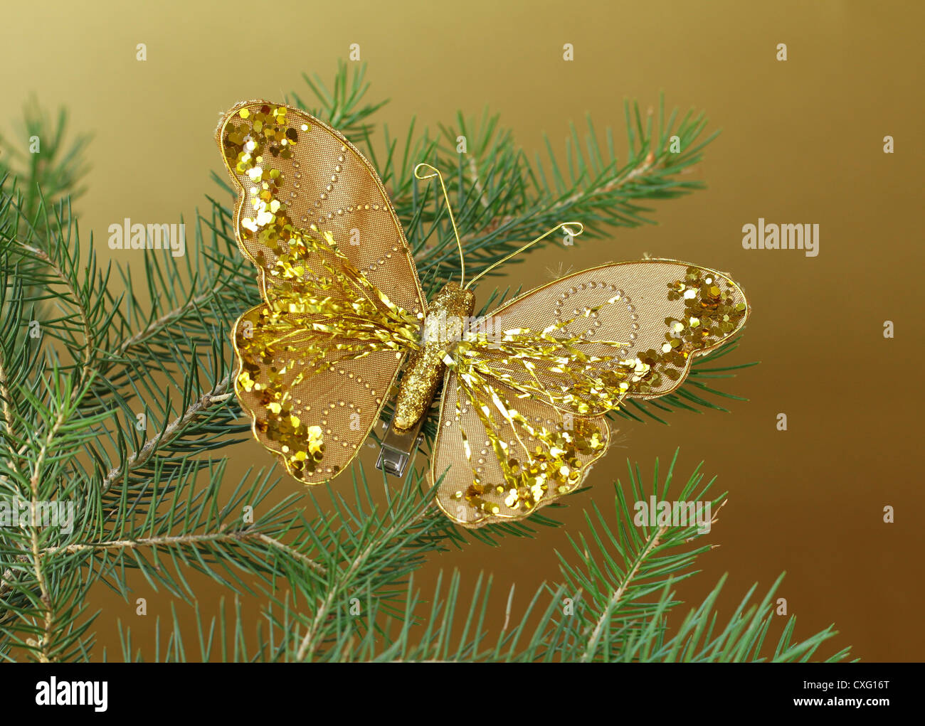 Christmas decoration (golden butterfly) on the branches of fir Stock Photo