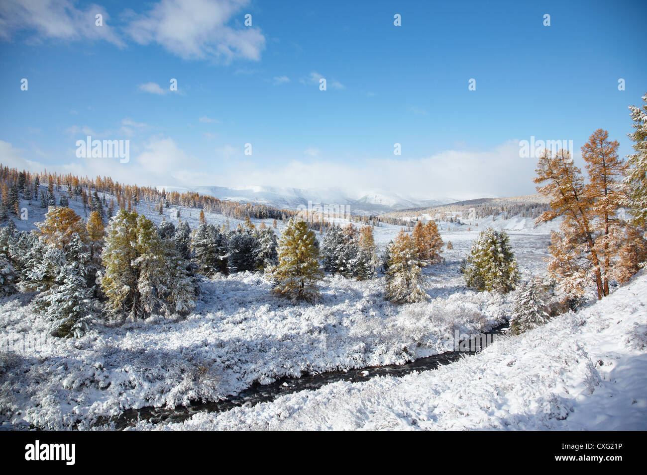 Altai under snow Stock Photo
