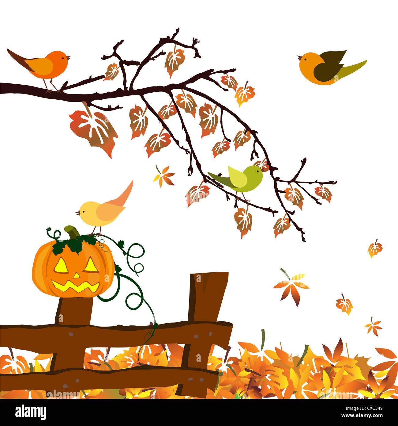 Halloween bird hi-res stock photography and images - Alamy