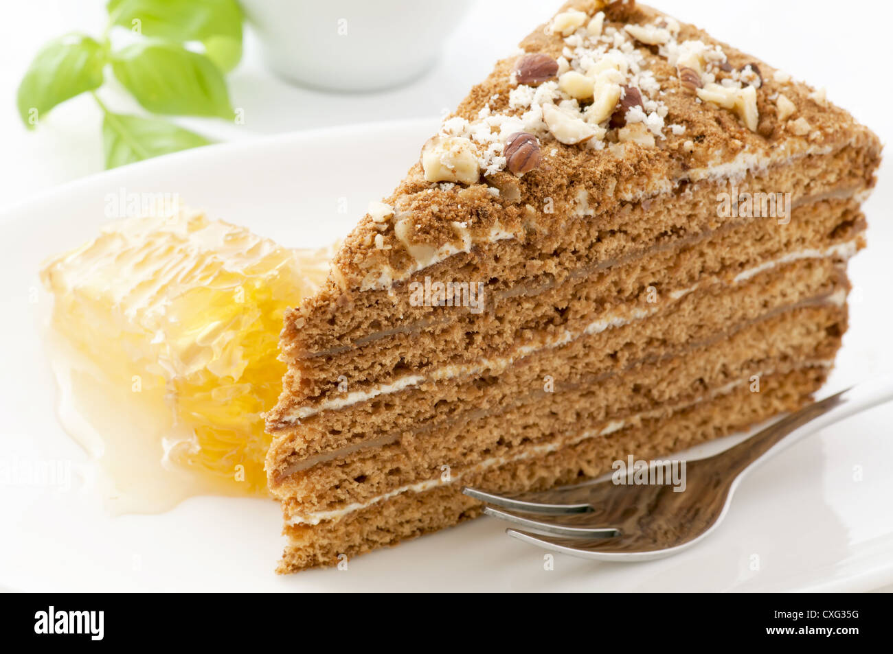 Honey cake with honeycomb as closeup on a white plate Stock Photo