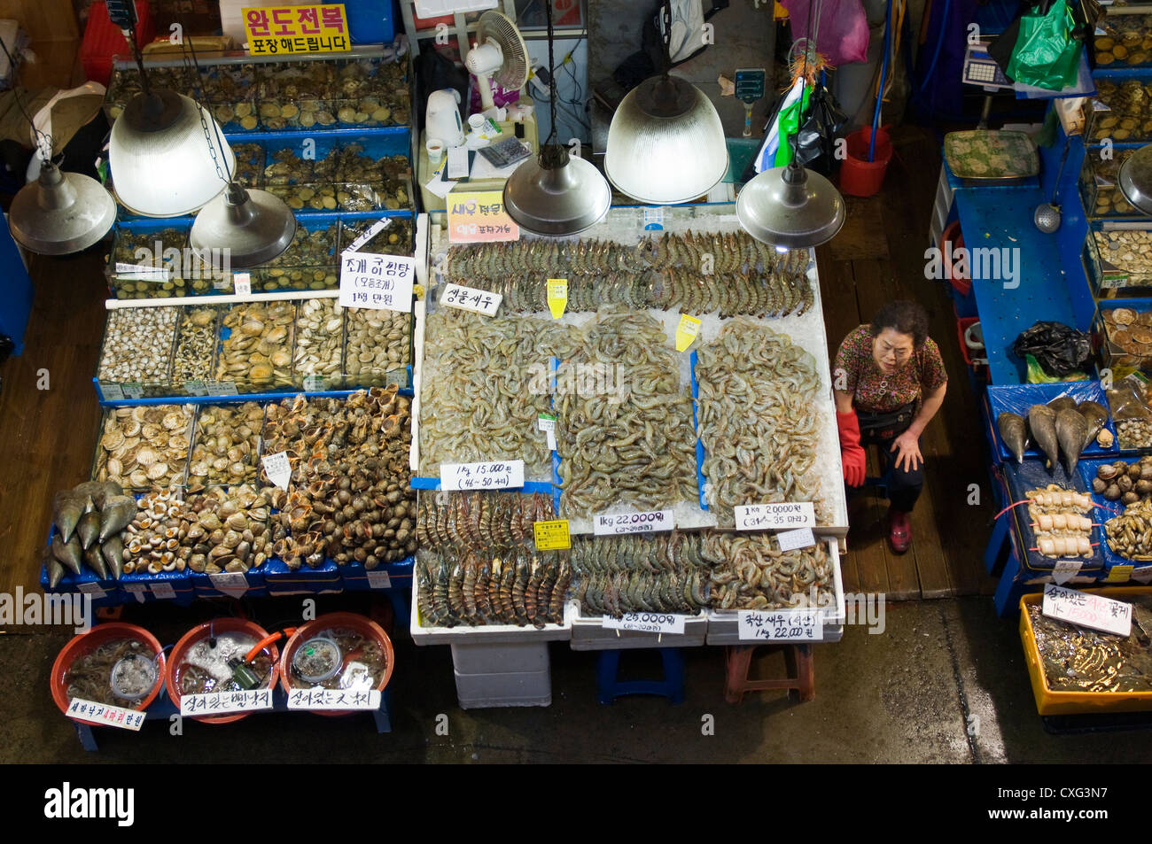 Noryangjin fish market, largest fish market in Seoul, Seoul, Korea