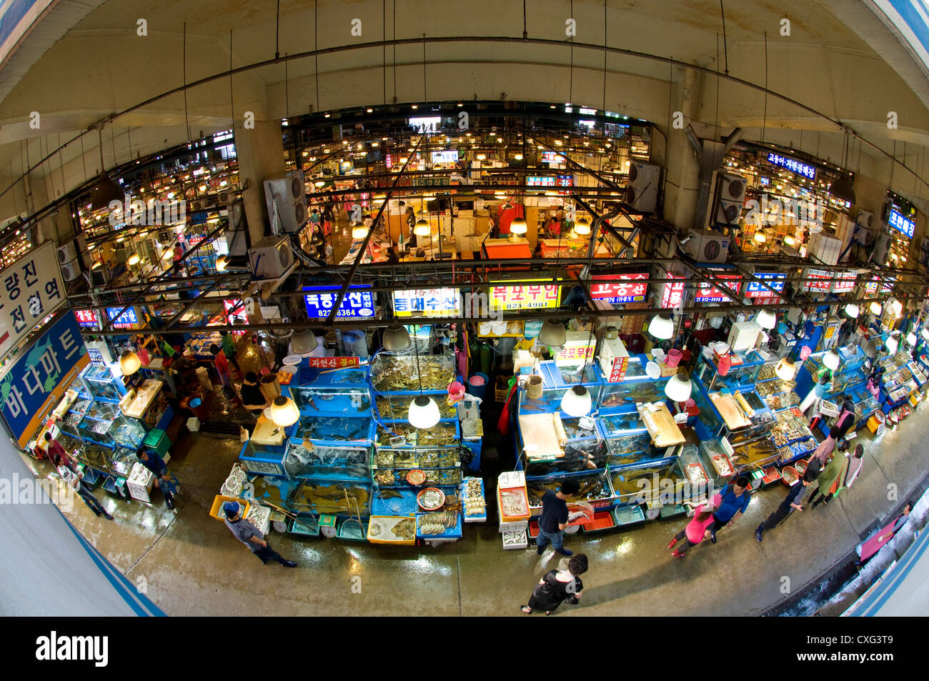 Noryangjin fish market, largest fish market in Seoul, Seoul, Korea