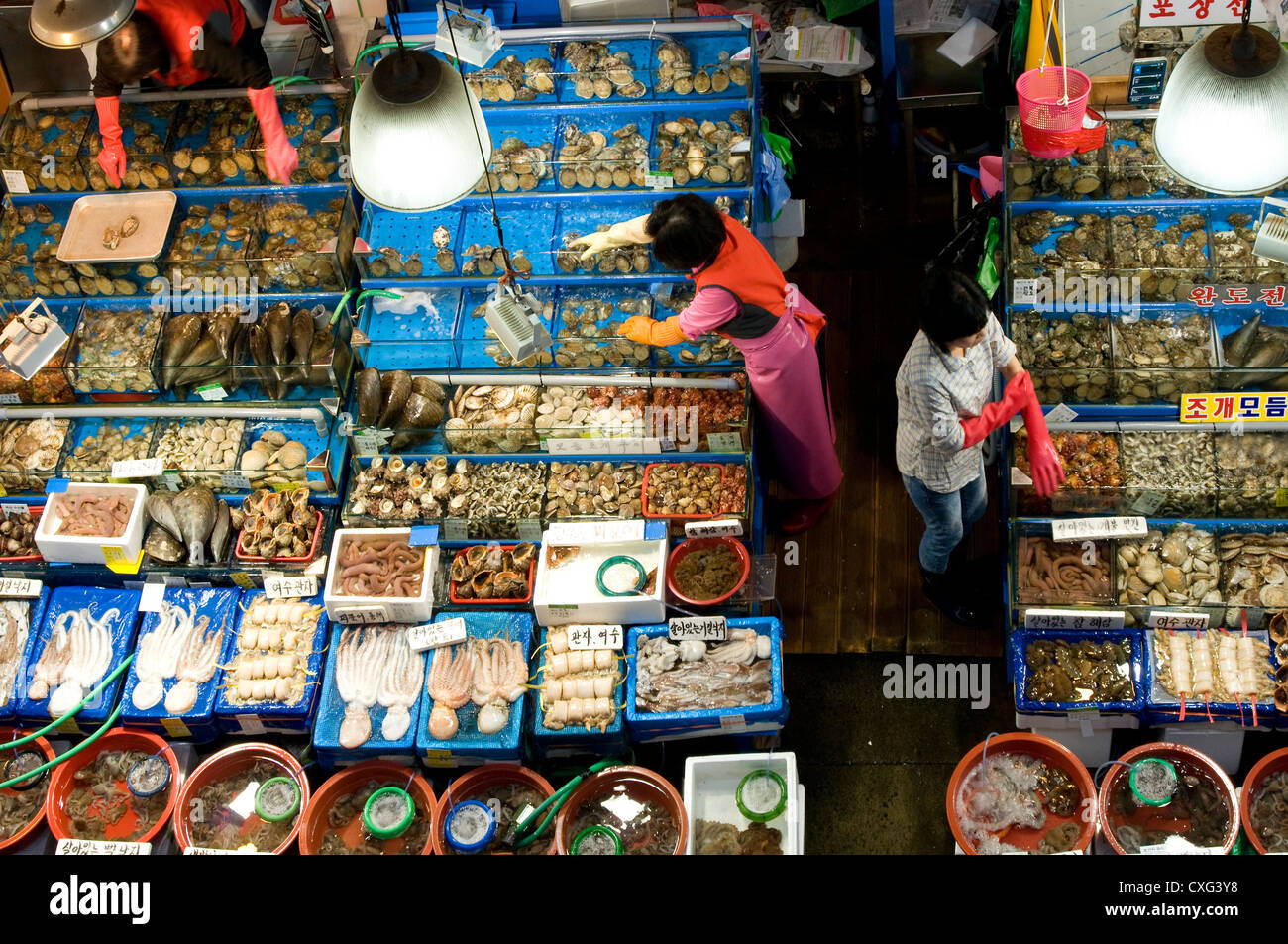 Noryangjin fish market, largest fish market in Seoul, Seoul, Korea