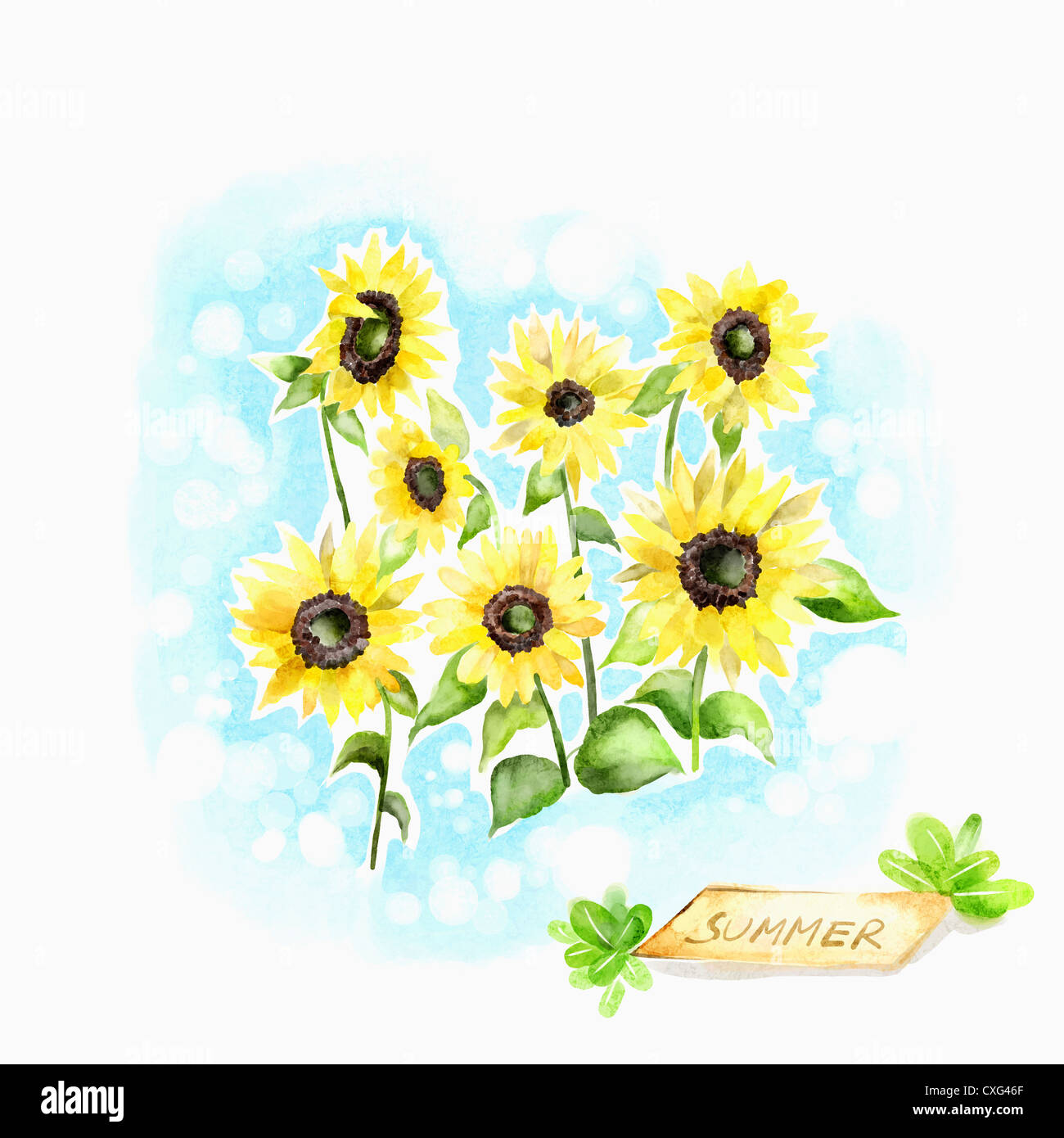 A illustration of sunflowers in summer Stock Photo - Alamy