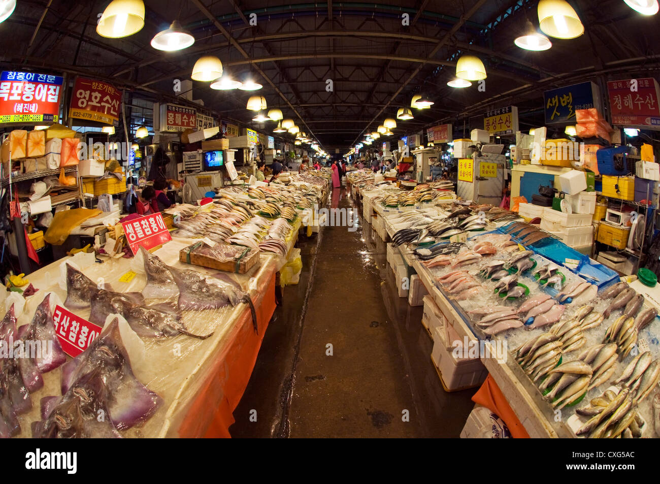Noryangjin fish market, largest fish market in Seoul, Seoul, Korea