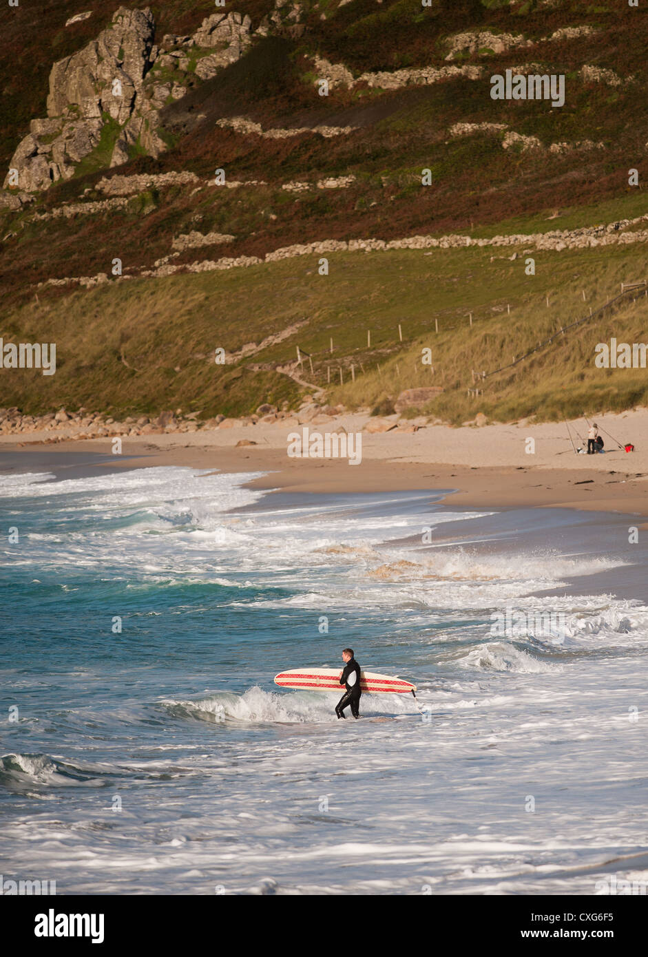 Surfing UK.  A surfer walking into the sea at Sennen in Cornwall Stock Photo