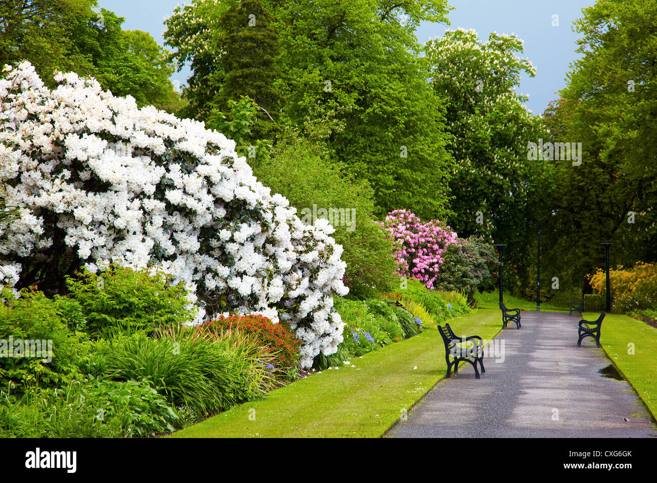 Belfast Botanic Gardens Stock Photo - Alamy