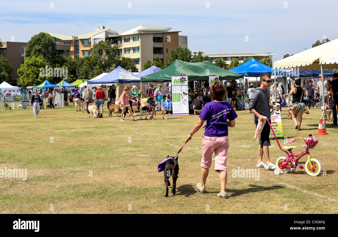Vendors set up at The tenth annual Gold Coast Pet and Animal expo sponsored by the Gold Coast City Council, a free to the public Stock Photo