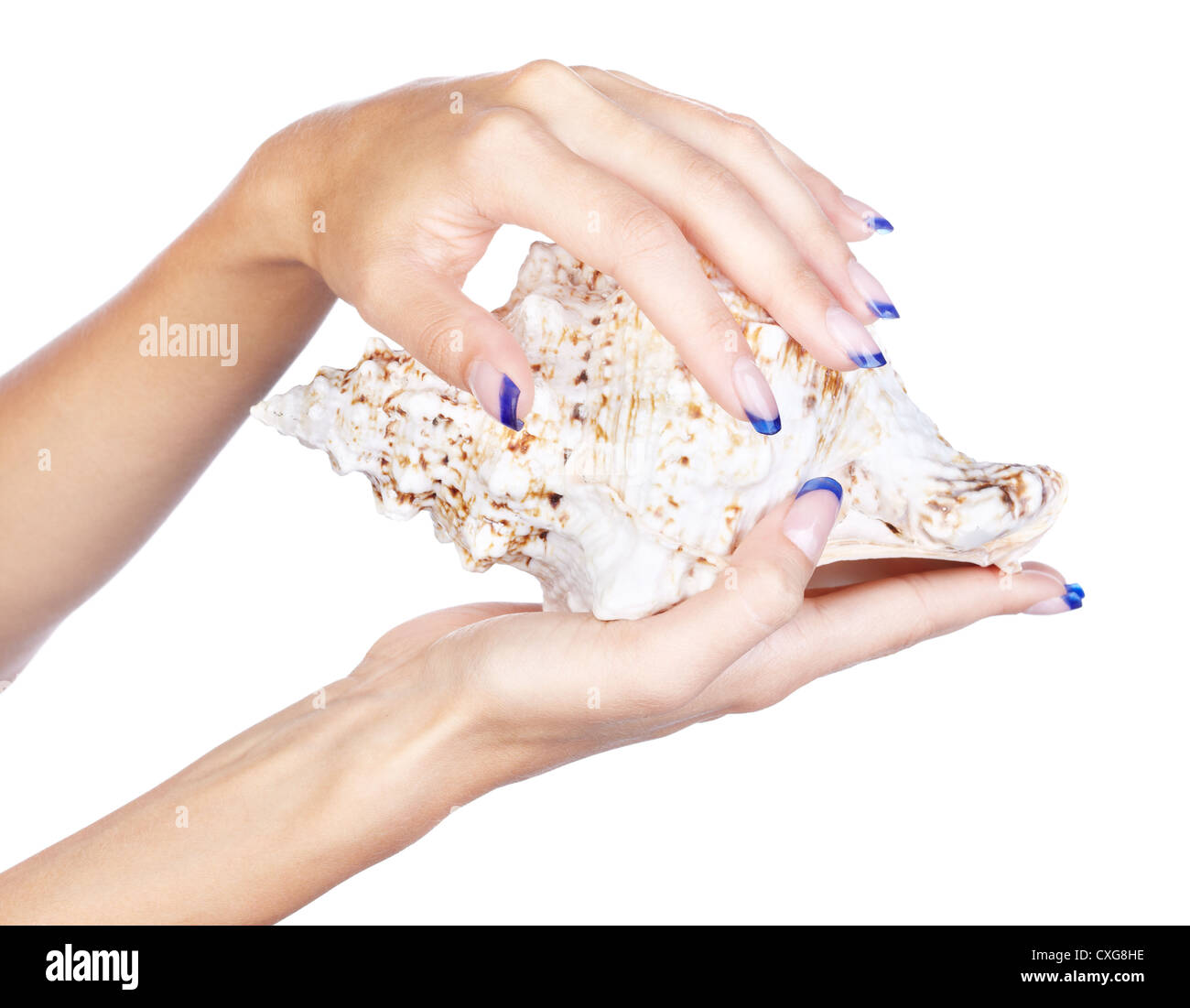 hands with shell Stock Photo - Alamy