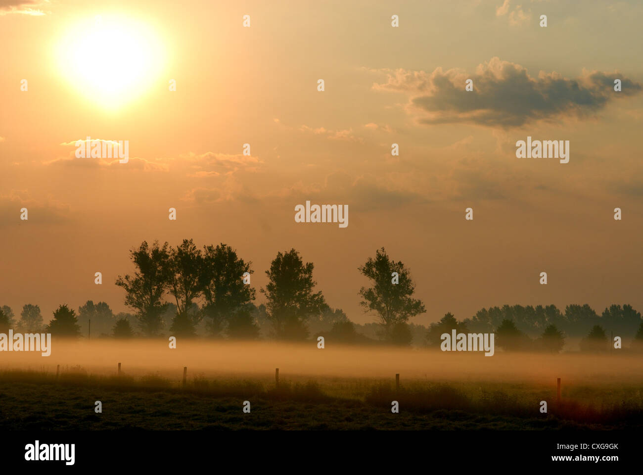 Misty morning sunrise over field hi-res stock photography and images ...