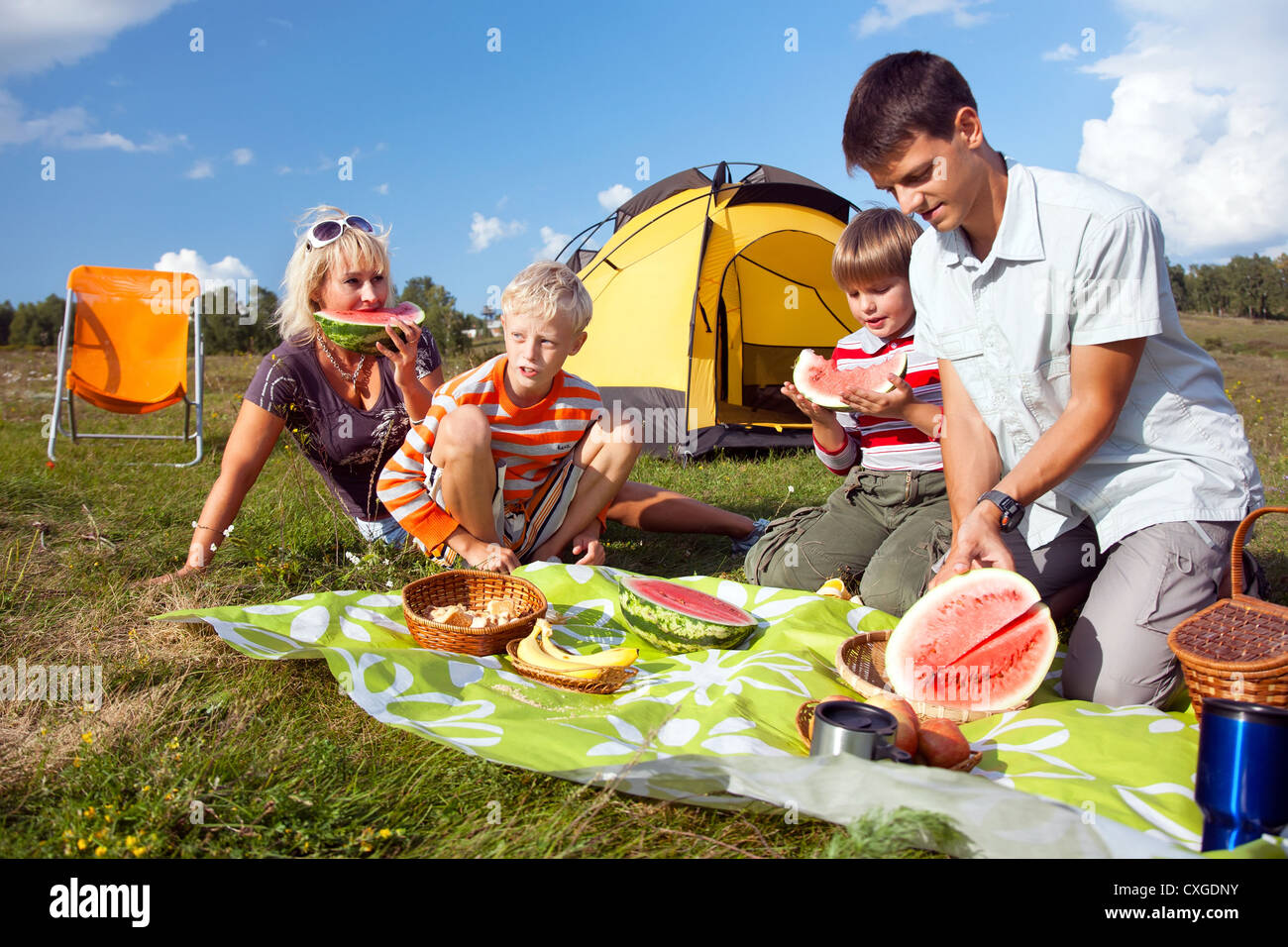 Описание пикника. Семья на пикнике. Семейный пикник на природе. Фотосессия пикник на природе семьей. Семья на пикнике в лесу.