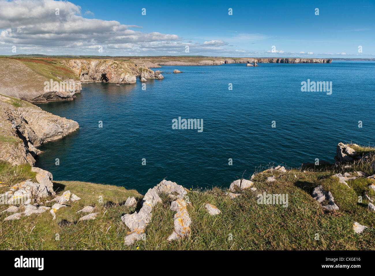 COAST NR ST GOVAN'S HEAD PEMBROKESHIRE WALES UK Stock Photo