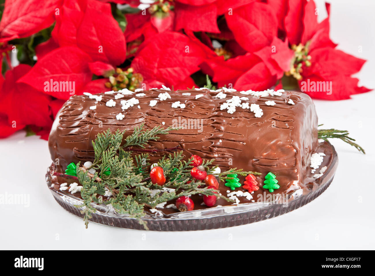 Homemade Christmas Chocolate Yule Log With Poinsettia And Other