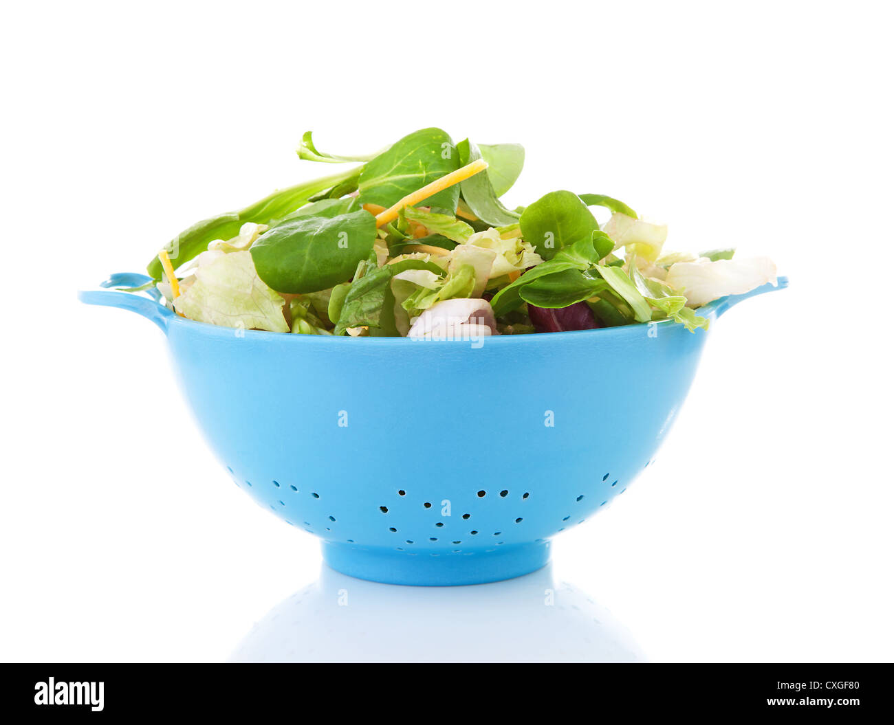 Blue colander with fresh lettuce over white background Stock Photo
