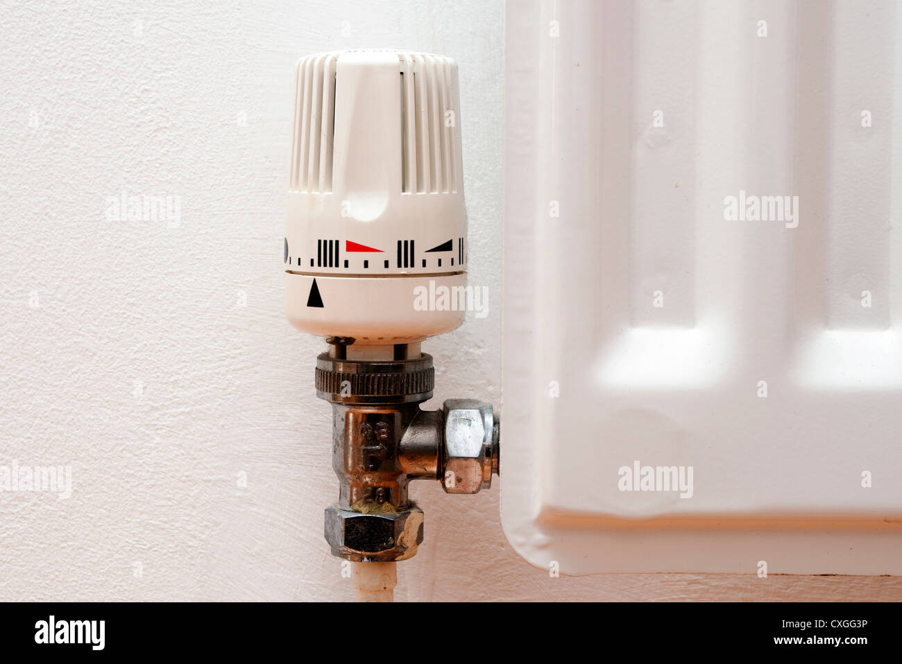 temperature control valve on a radiator Stock Photo Alamy