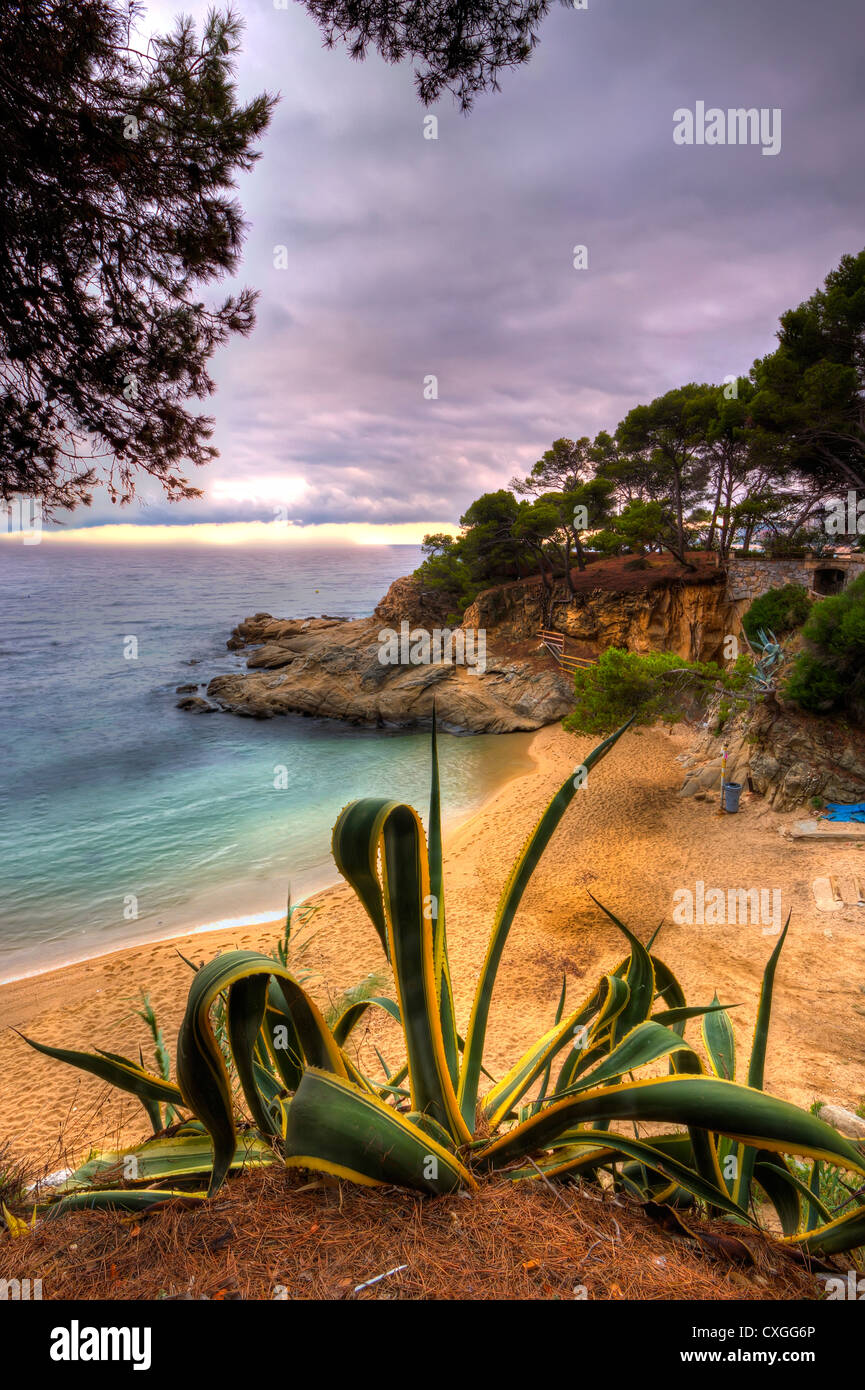 Platja d'Aro, Costa Brava, Spain Stock Photo - Alamy