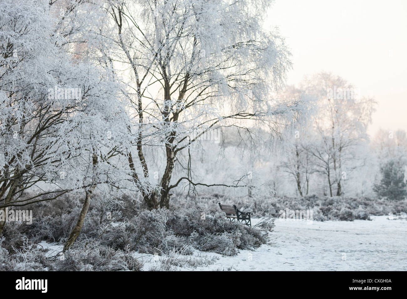 Sutton Coldfield park in snow Stock Photo - Alamy