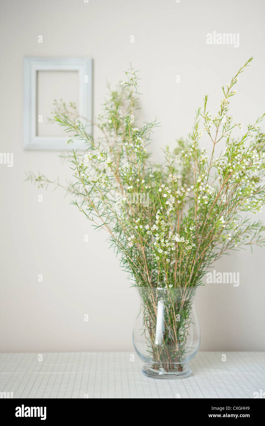 flowers in the vase Stock Photo Alamy