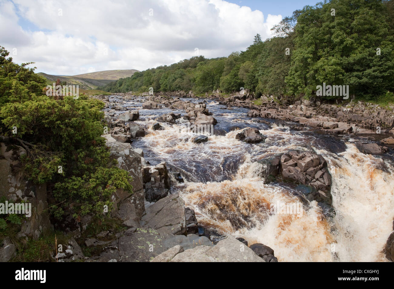 The River Tees just before High Force waterfall in Moor House Upper Teesdale, County Durham Stock Photo
