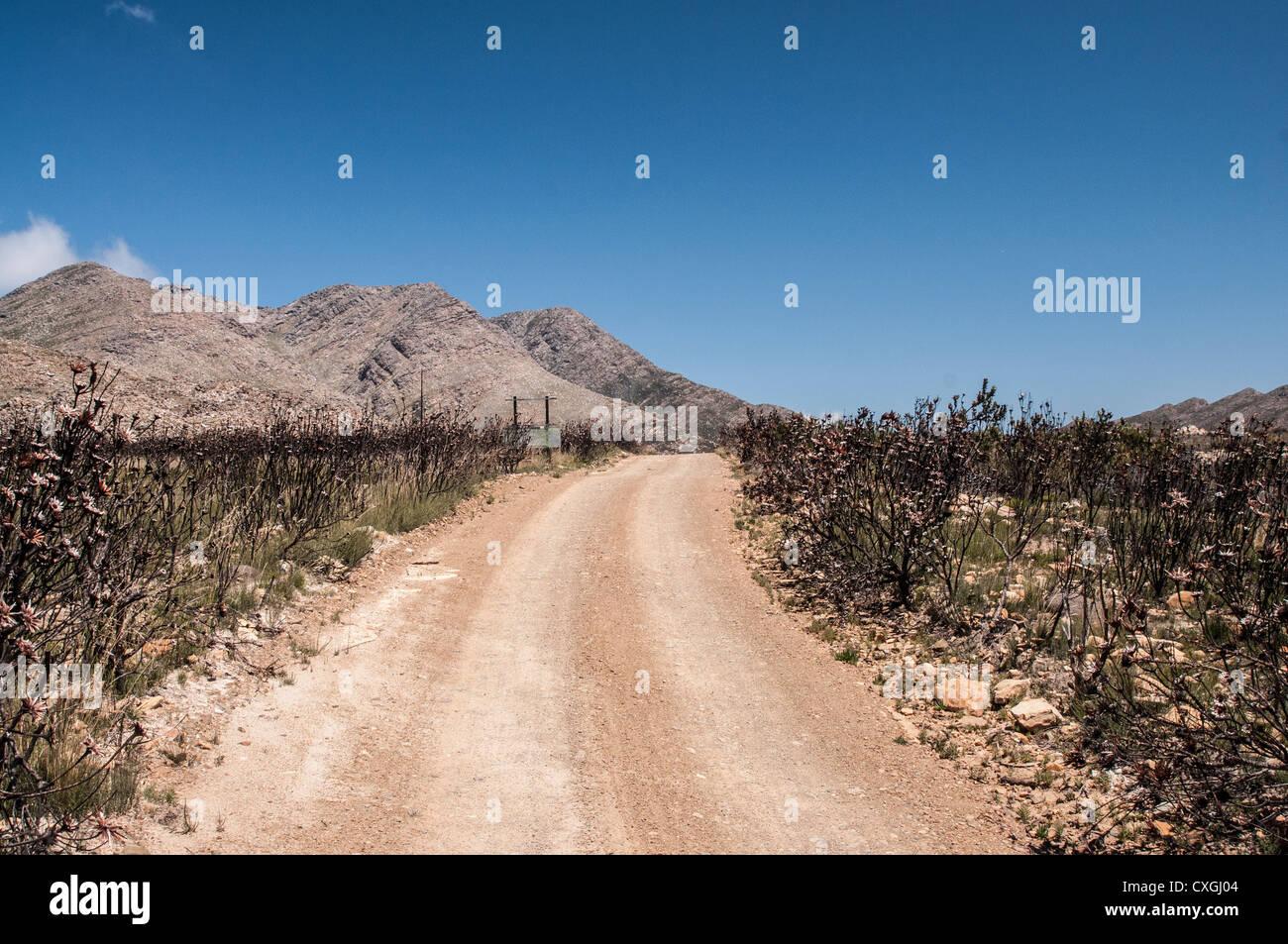 The Hell, South Africa, Gamkaskloof, Swartberg reserve, valley