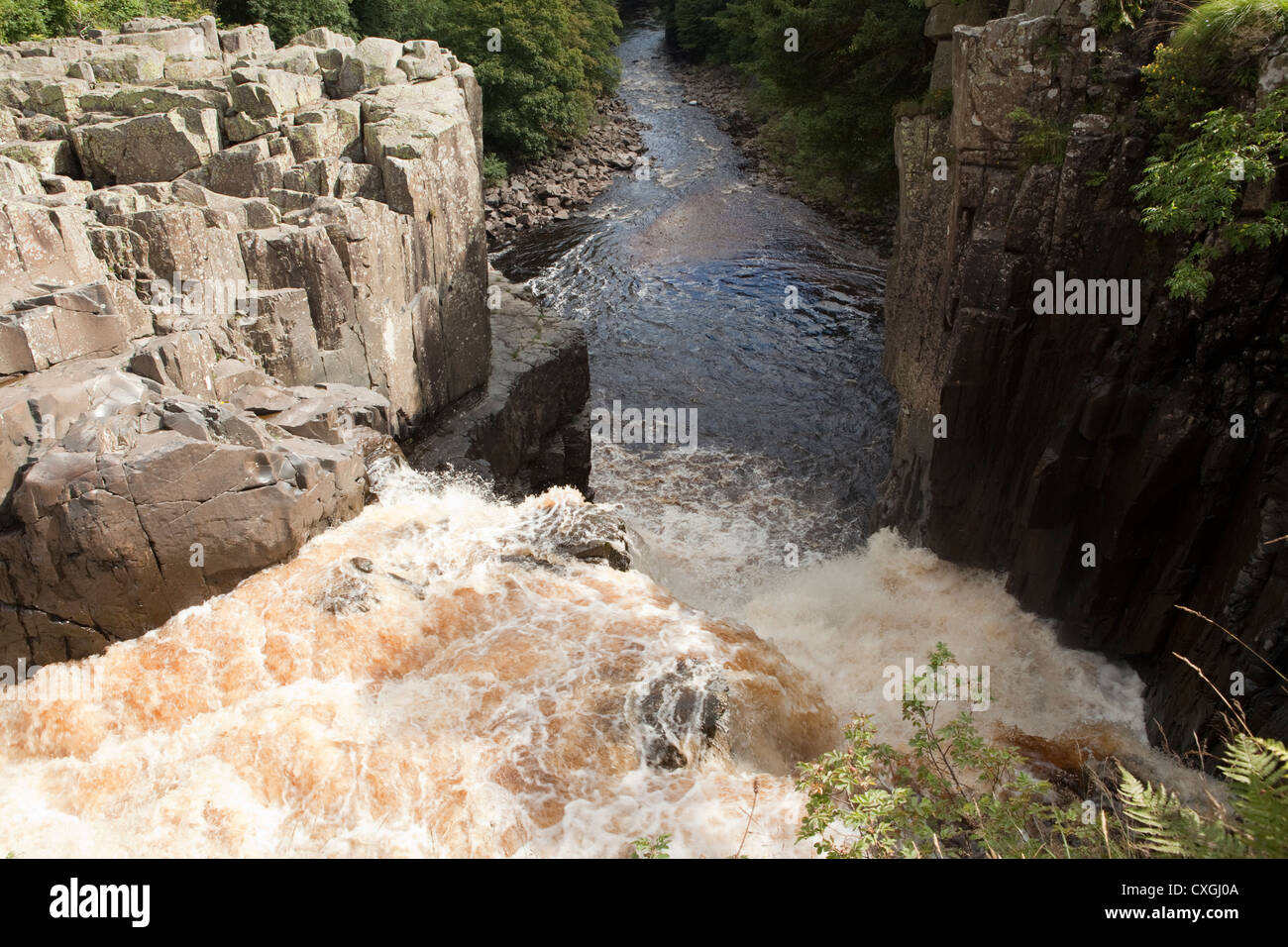 The River Tees crasheing over High Force waterfall in Moor House Upper Teesdale, County Durham Stock Photo