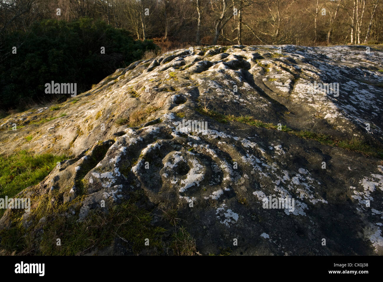 Cup and Ring marked stone at Roughting Linn in Northumberland, the largest of its type in northern England Stock Photo