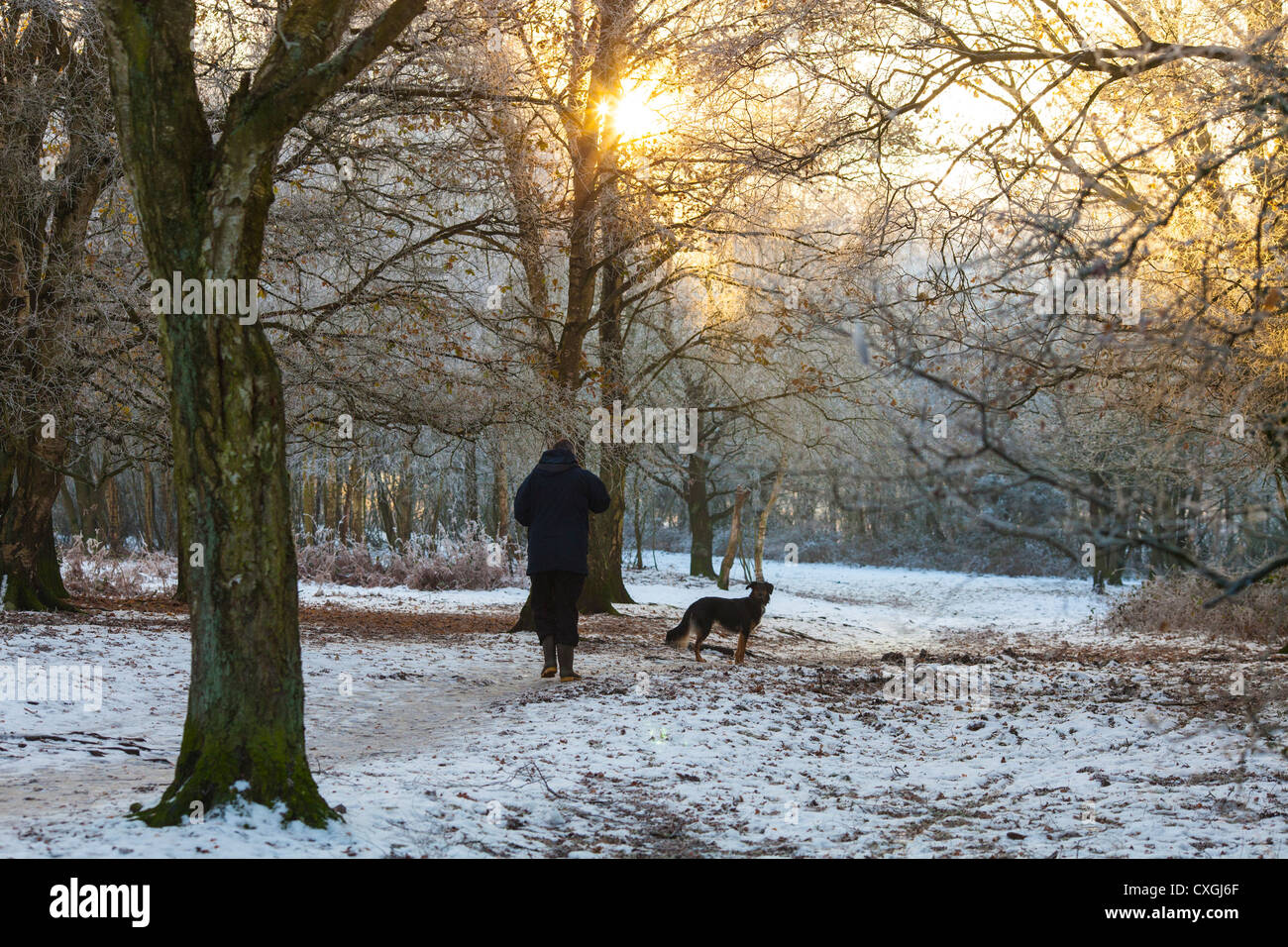 Sutton Coldfield park in snow Stock Photo - Alamy