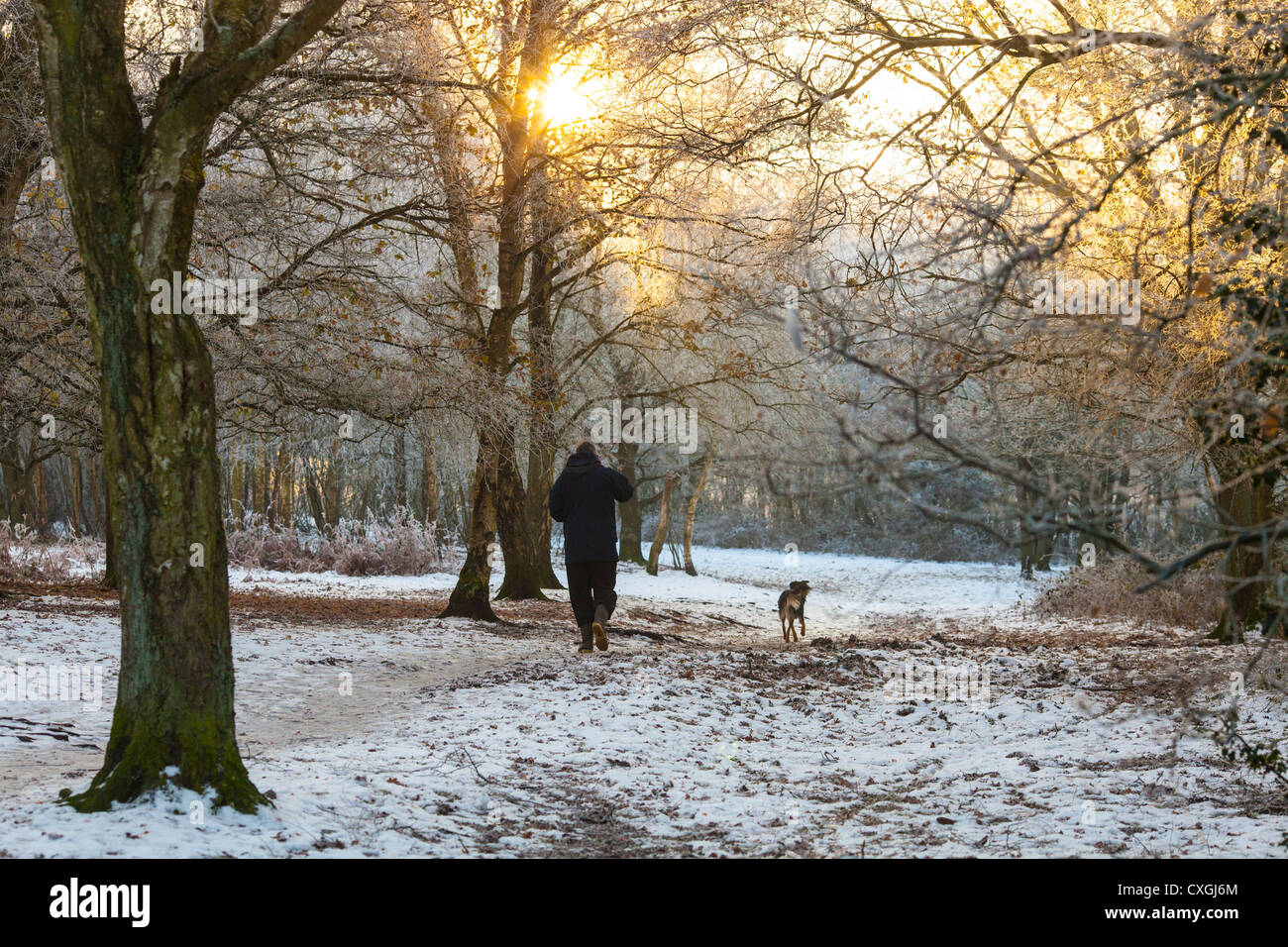 Sutton Coldfield park in snow Stock Photo - Alamy