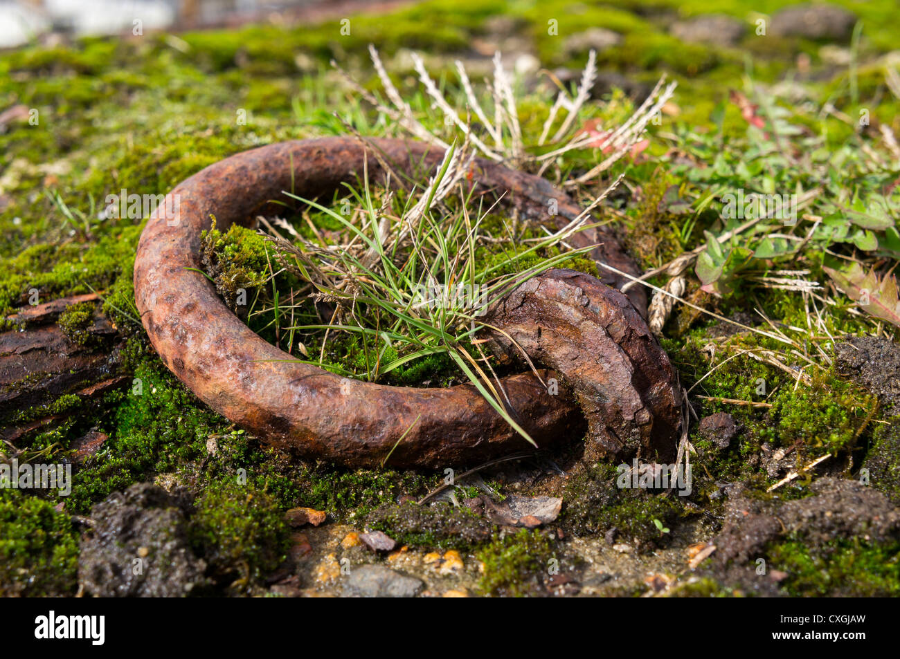 Rusty Iron rings with one embedded in the ground Stock Photo