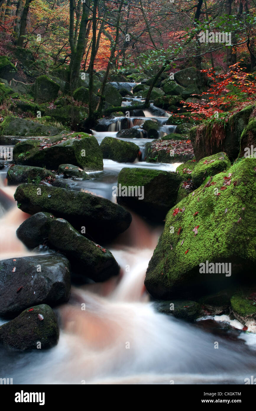 England, Derbyshire, Peak district, Padley Gorge, stream in spate in Autumn Stock Photo