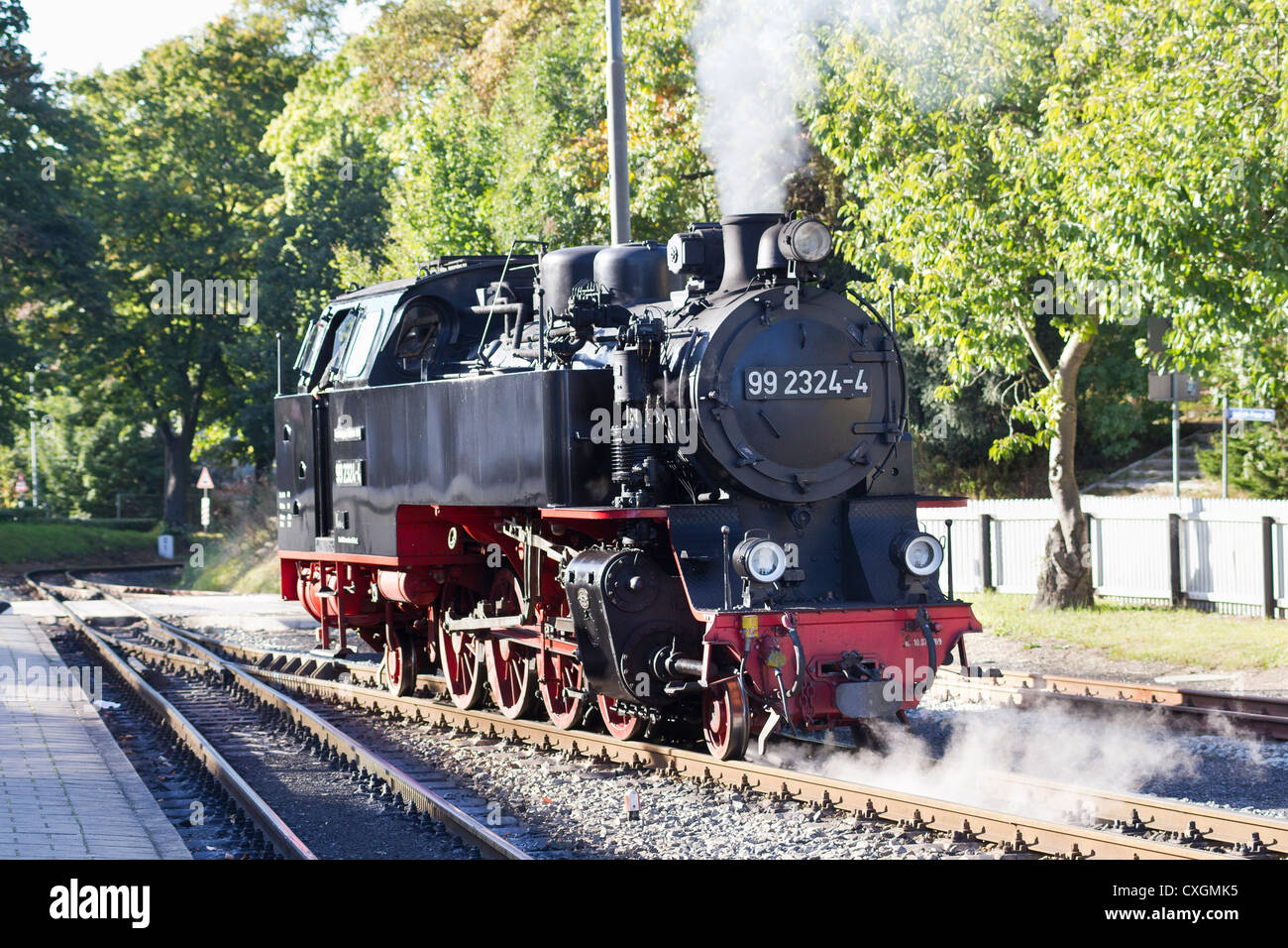 Steam locomotive. The Molli bahn at Bad Doberan - Germany Stock Photo