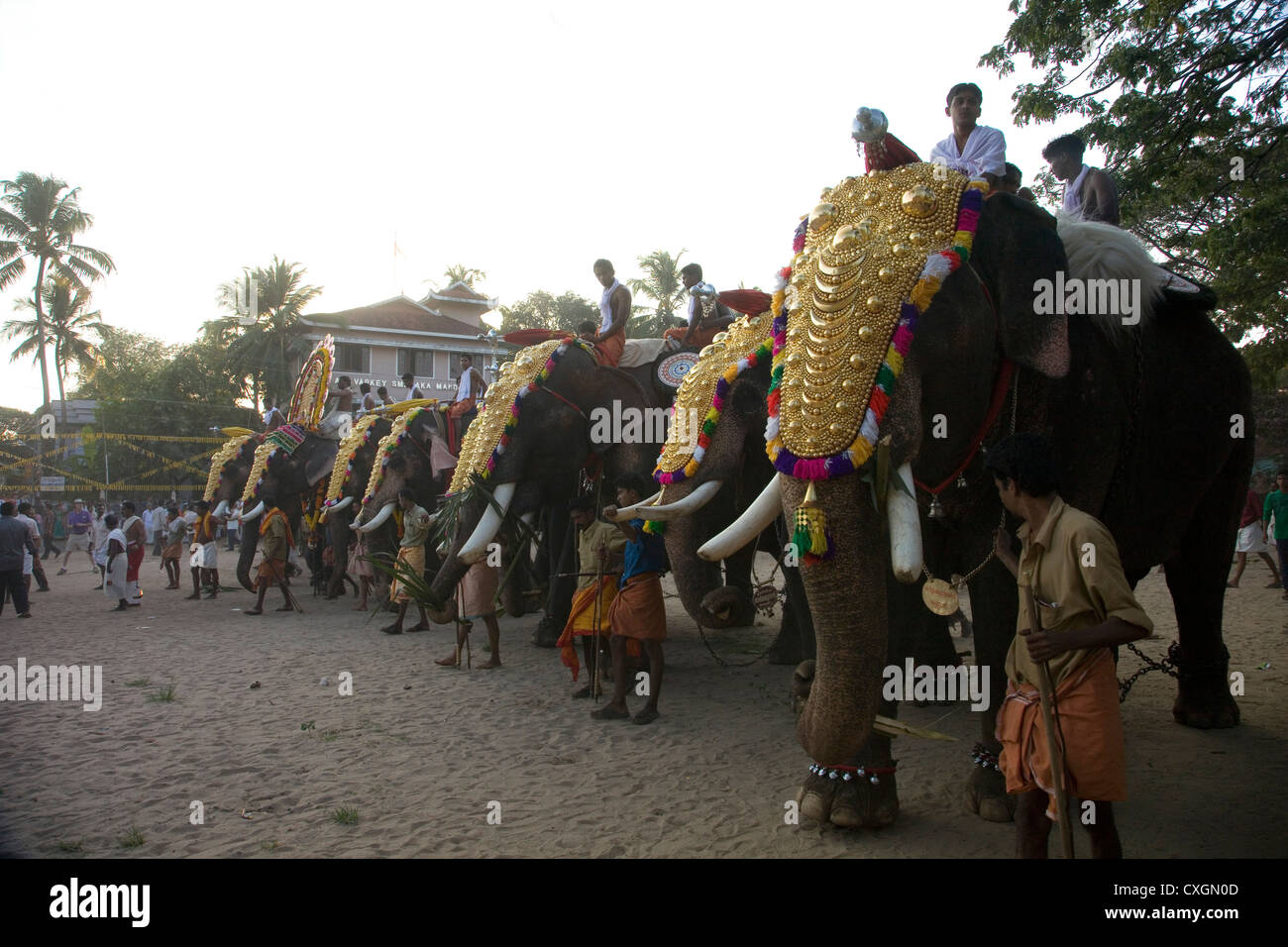 Procession of elephants during the Hindu Festival of Shiva, Cochin, India. Stock Photo