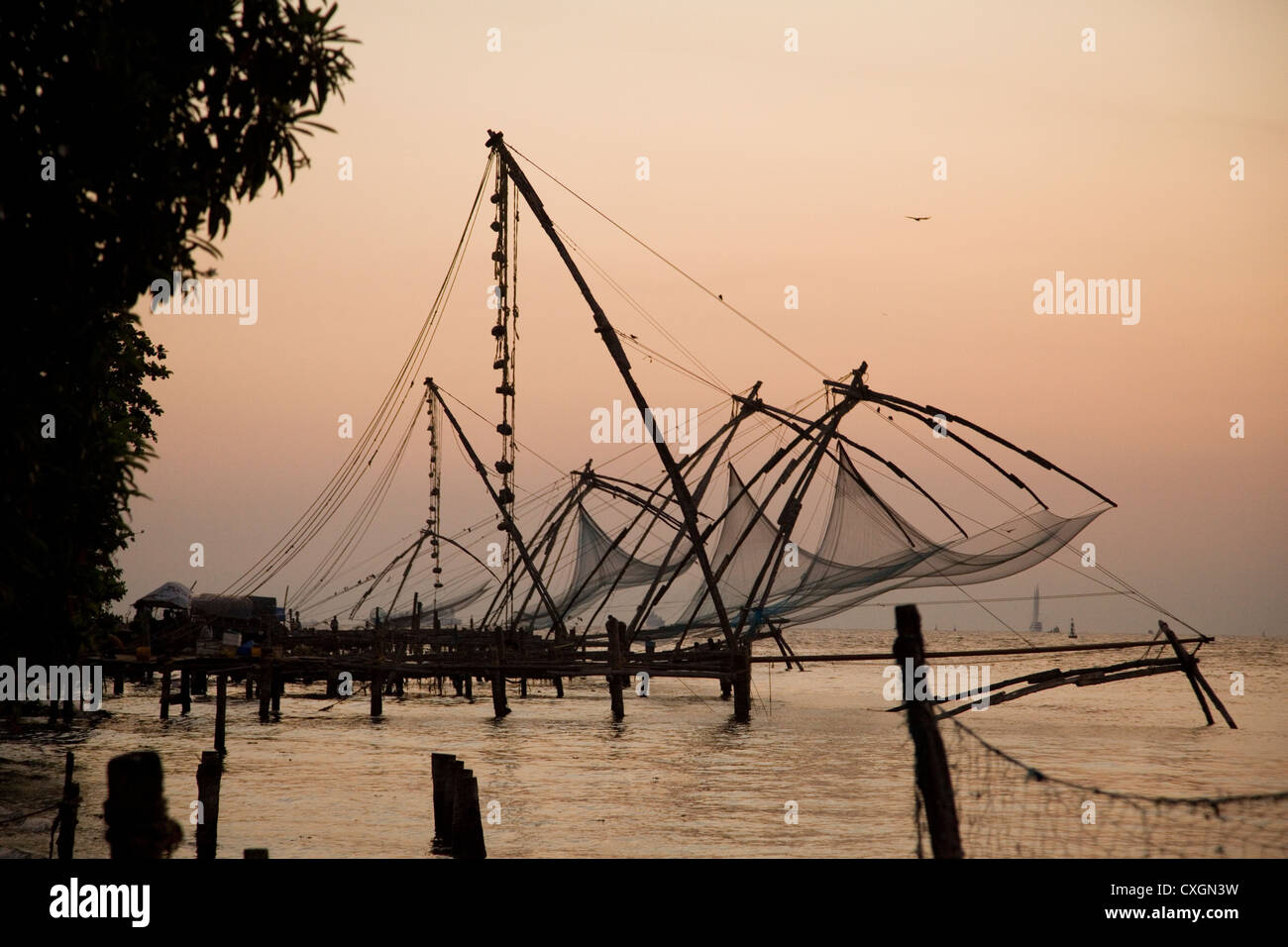 Traditional Chinese fishing nets at sunset, Cochin, India. Stock Photo