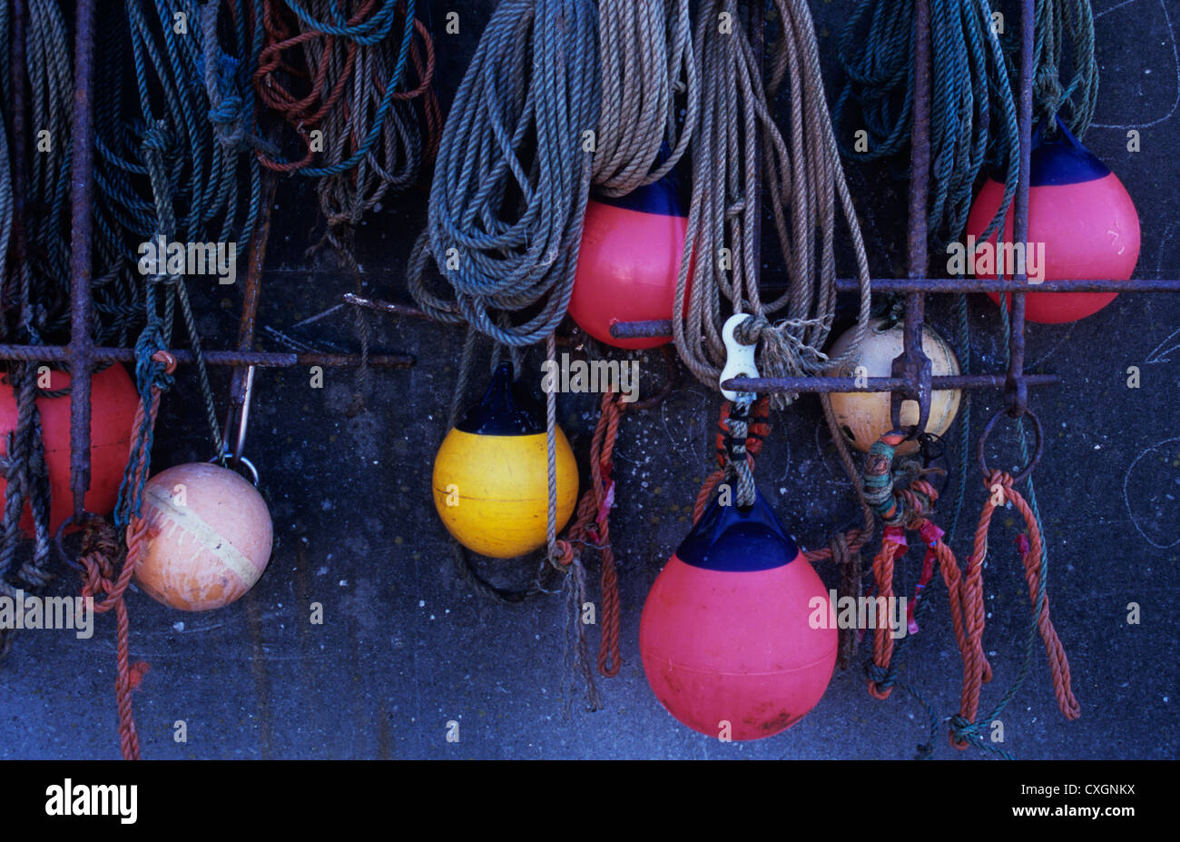 Fishing boat ropes and floats or marker buoys hanging neatly to dry against concrete wall Stock Photo