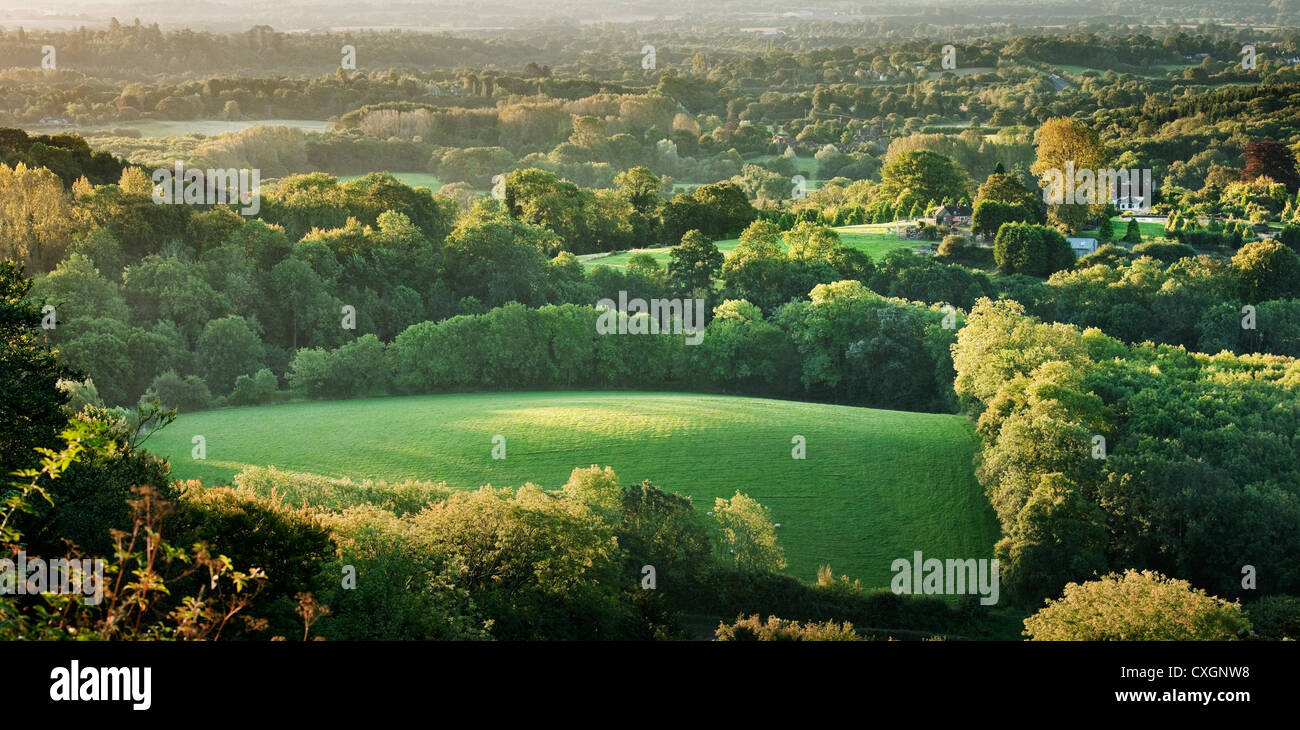 The view from Shoulder of Mutton Hill in Ashford Hangers near Petersfield, Hampshire, England in the early morning Stock Photo