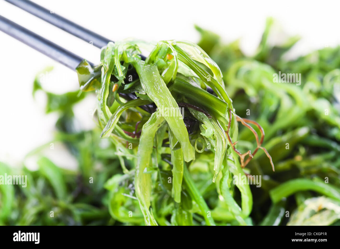 Fresh seaweed salad Stock Photo