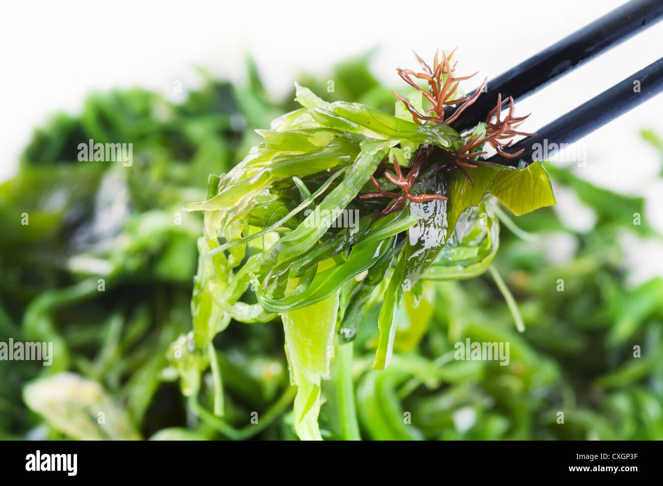 Fresh seaweed salad Stock Photo