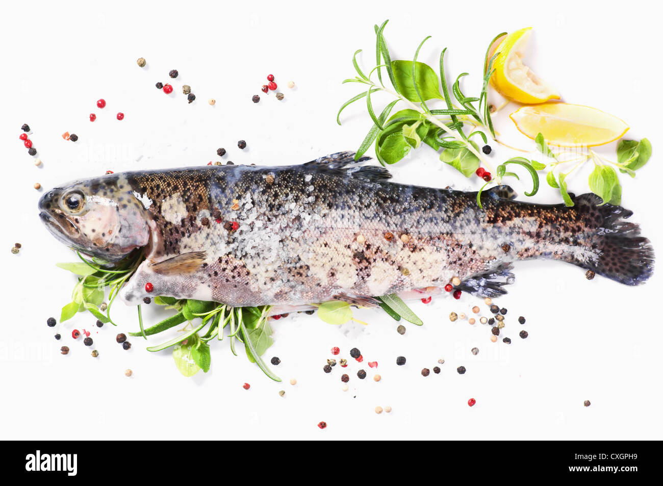 Rainbow trout Cut Out Stock Images & Pictures Alamy