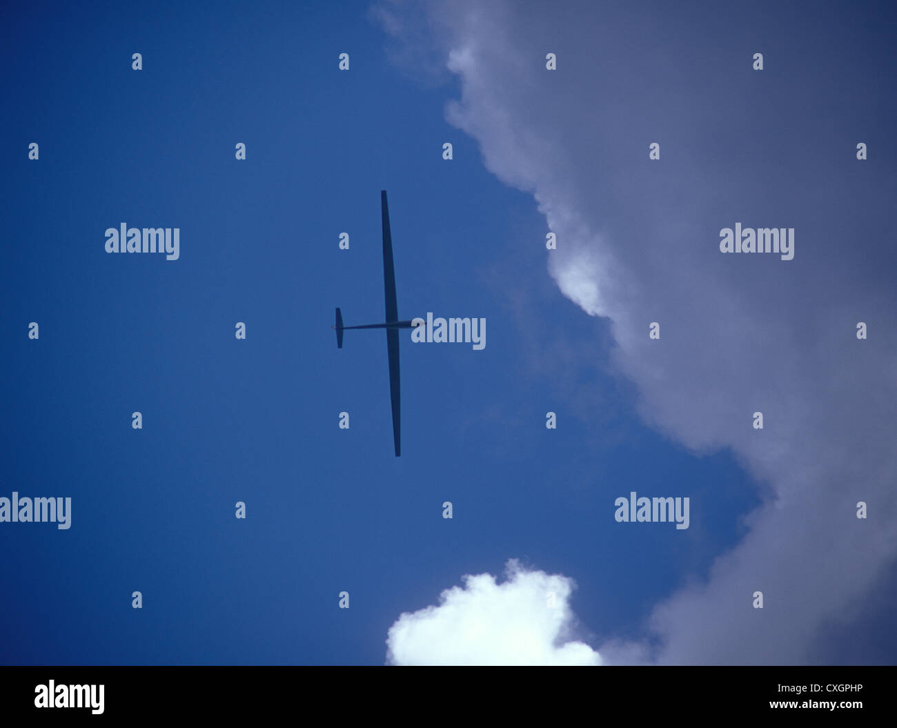 Glider in the sky Stock Photo Alamy