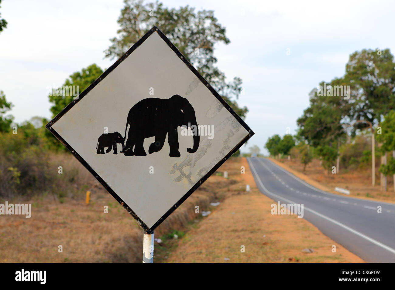 Elephant crossing road sign near Anuradhapura on the A12 highway in Sri Lanka. Stock Photo