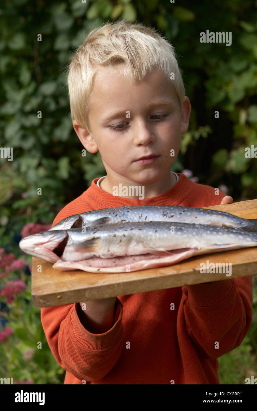 Ten year old boy fishing at Dever Springs trout fishery, Winchester,  Hampshire, England, United Kingdom Stock Photo - Alamy