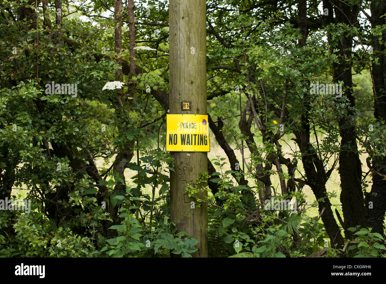 Police No Waiting sign on telegraph pole Stock Photo