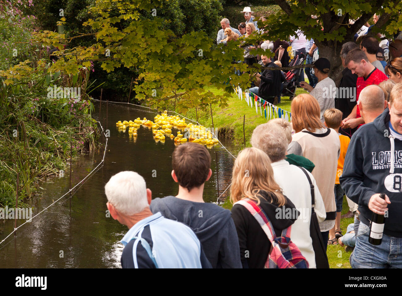 Village fair fayre fete in Eardisland Herefordshire England UK, rubber duck racing on the river Arrow. Stock Photo
