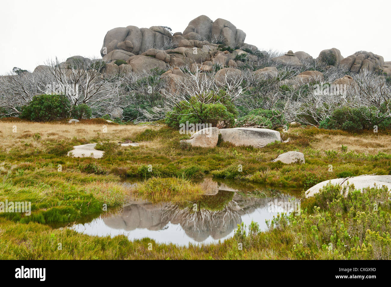 Corral Peak In Mount Buffalo National Park covered in clouds. Stock Photo