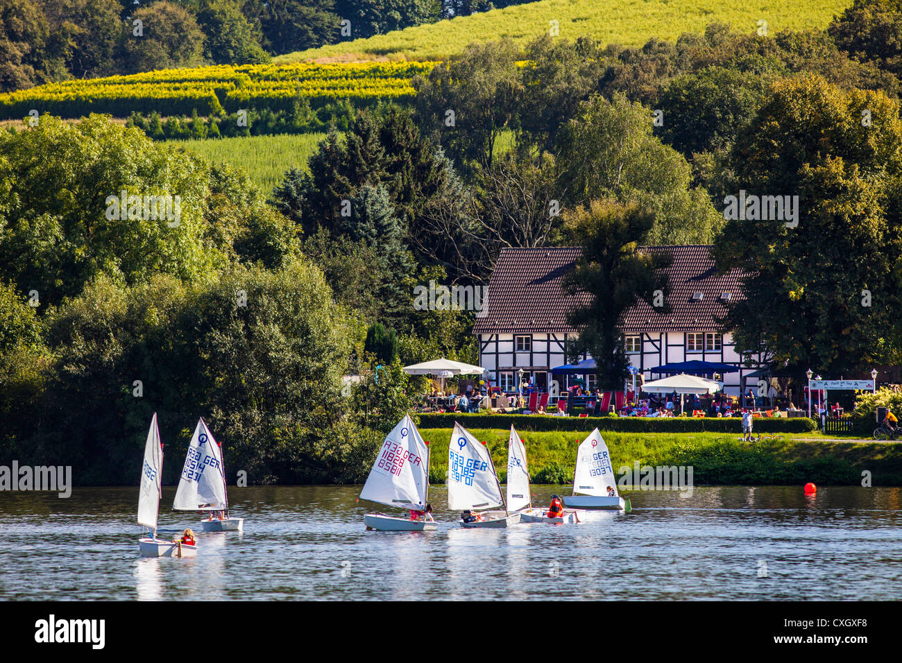 Small sailing boats on Baldeneysee lake, a reservoir of river Ruhr, Essen, Germany. Stock Photo