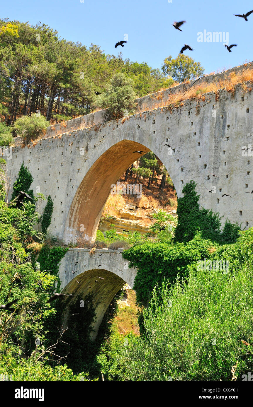 Jackdaws fly amongst the two tiered Venetian Aquaduct ruins of Agia Irini that crosses The Knosano Gorge or gorge of Saint Eirini,WesternCrete, Greece Stock Photo