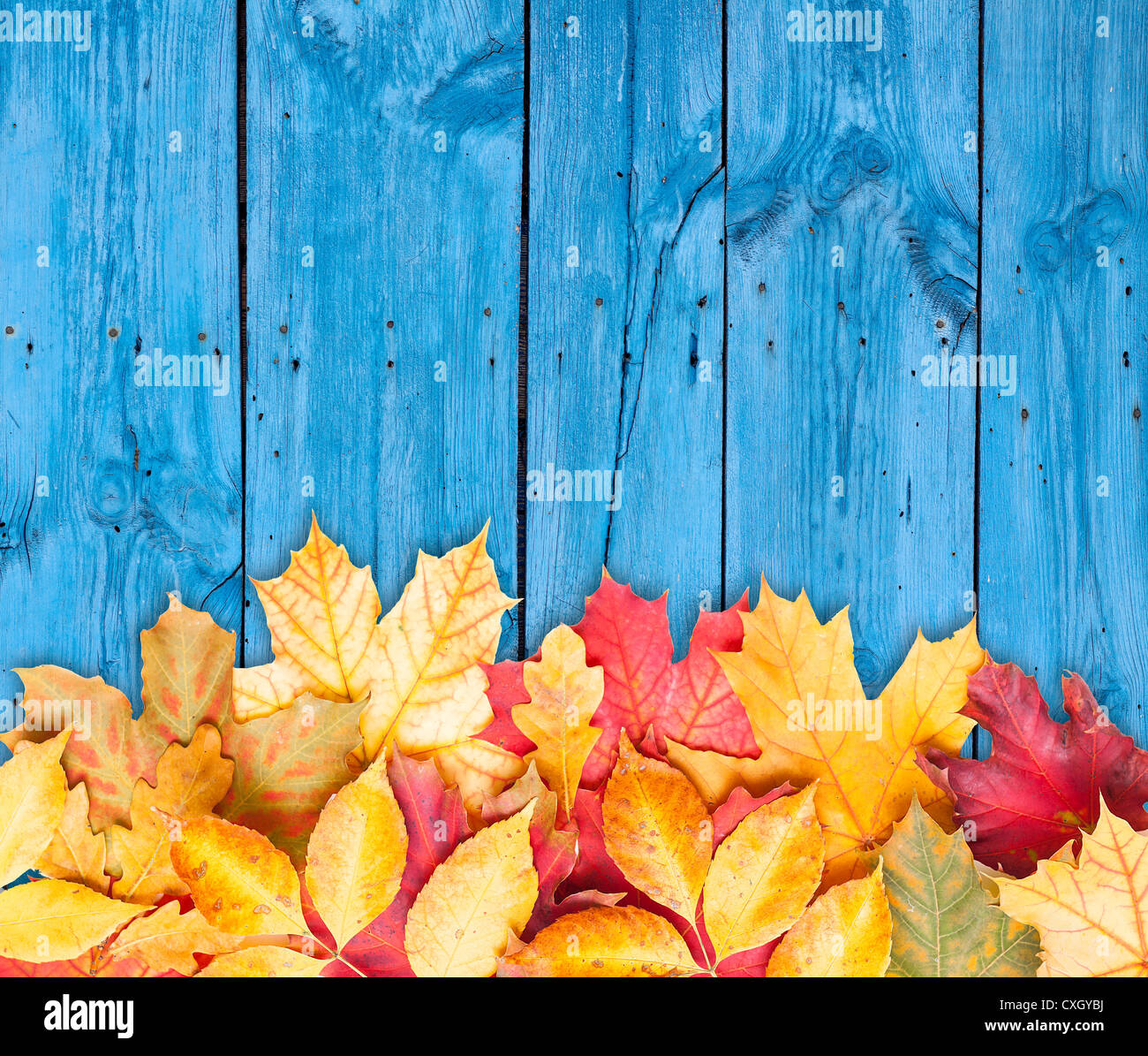 Autumn leaves over wooden background with copy space Stock Photo